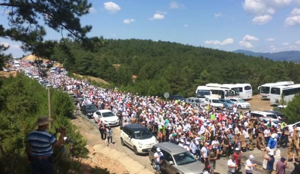 Kaz Dağları'nda herkesin es geçtiği gerçek! Türkiye'ye Romanya modeli