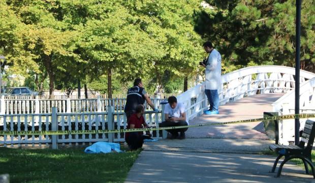 Sakarya'da kan donduran görüntü! Süs havuzunda bulundu