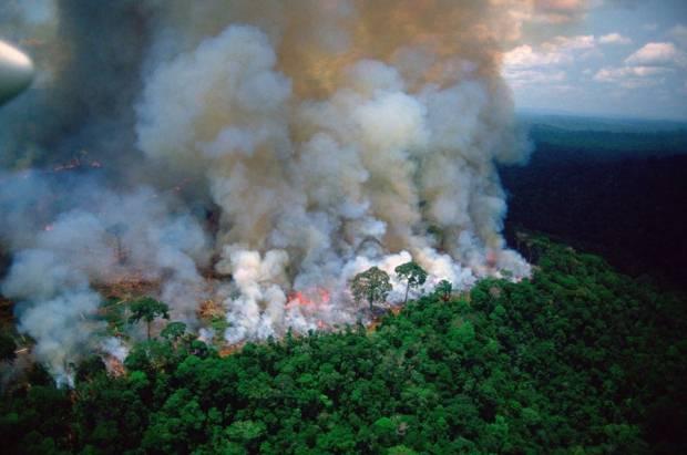 Adriana Lima'dan orman yangınlarına çağrı