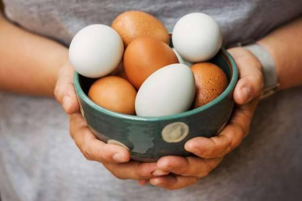 Organik yumurta analizi nasıl yapılır?