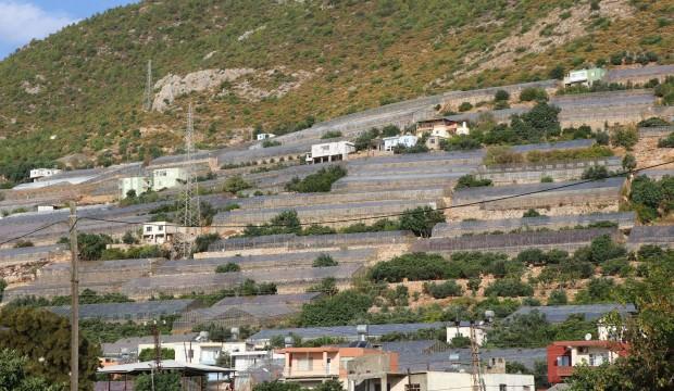 Türkiye seracılıkta dünya ile yarışıyor