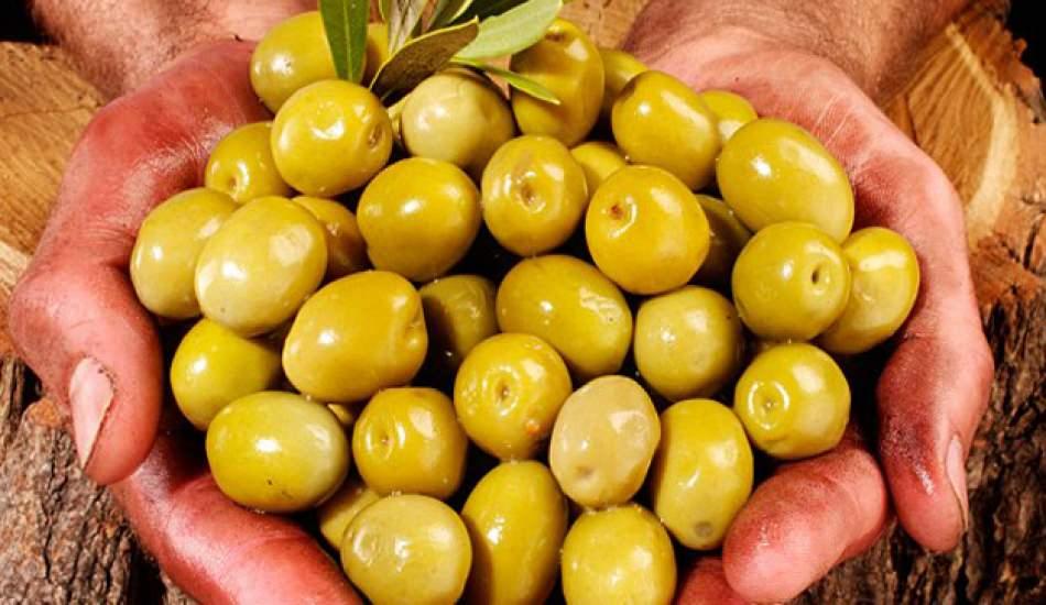 zeytin_nasil_secilir_kaliteli_zeytin_nasil_anlasilir_1566224963_7345.jpg