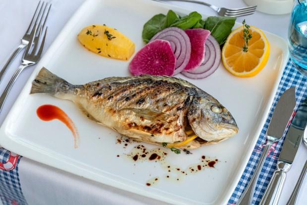 omega3 yağ asidi ne işe yarar