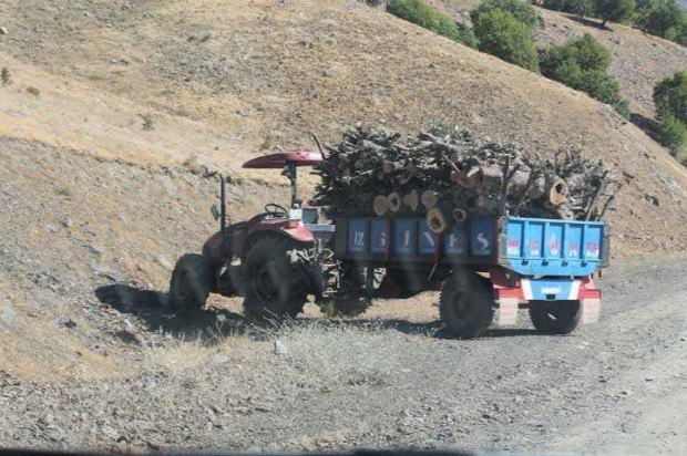 Olay yerinden gelen görüntülerde vatandaşların traktöre yüklediği odunlarda kameralara yansıdı.