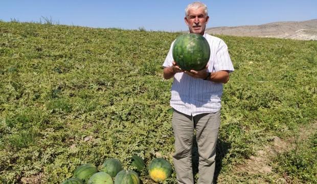 Görenler hayrete düşüyor! Tam 6 ay boyunca bozulmuyor