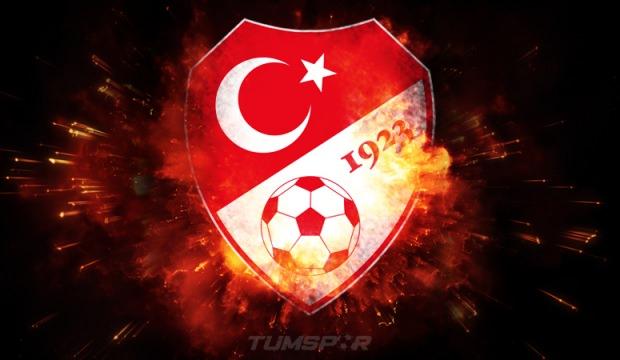 TFF'den 8 kulübe puan silme cezası