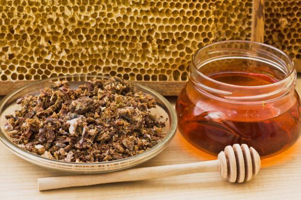 propolis nedir