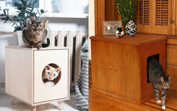 kediler için ev dekorasyonu