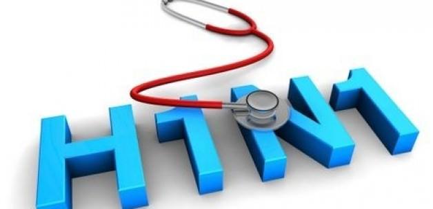 H1N1 virüsü 2 saat canlı kalabilir