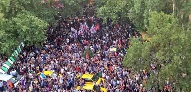Ağaç kesimini protesto ederken ağaçlara zarar verdiler