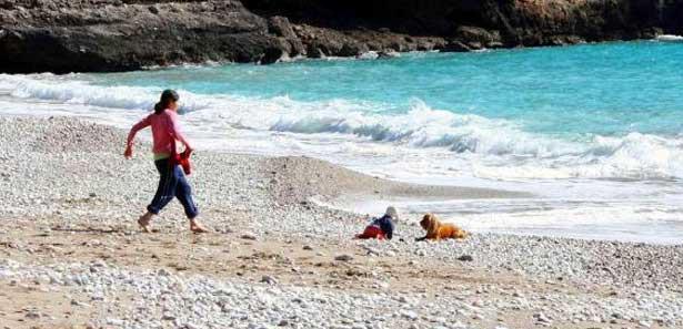 Emekleyerek denize giden bebeği köpek kurtardı