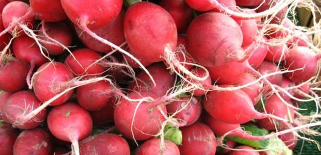 Hangi Vitamin Hangi Hastalığa İyi Gelir Hangi Vitamin Hangi Hastalığa İyi Gelir