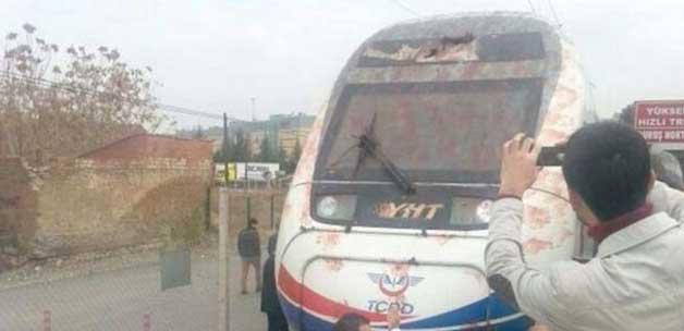 Hızlı tren kuş sürüsüne çarptı