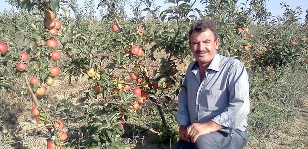 Hobi olarak başladı, 5 bin bodur elma ağacı oldu