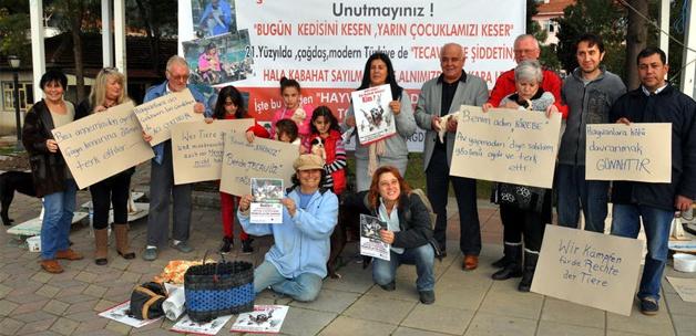 İşkenceyle öldürülen kedi için protesto