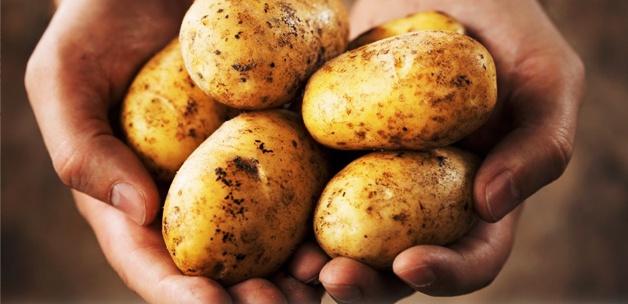 Patates fiyatları düşüyor!