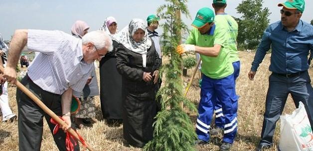 Şehit savcı Kiraz anısına hatıra ormanı