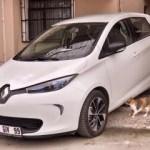 Kışın 250, yazın 350 km! Sessizliği de cabası...