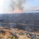 Baskil'de arpa tarlasında yangın