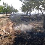 Baskil'de kayısı bah&ccedil;esinde yangın