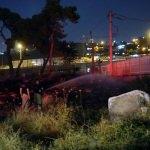 İzmir'de otluk alanda yangın