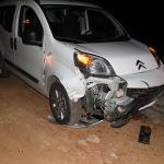 Minivanın &ccedil;arptığı 10 yaban domuzu telef oldu