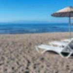 Otelin plajında akılalmaz &ouml;l&uuml;m!