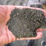 Yerden toplayıp servete kondular