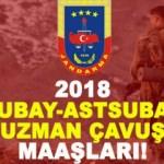 Uzman çavuş, astsubay, subay maaşları kaç TL? (2018)