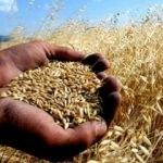 Pakdemirli'den milyonlarca TL destek müjdesi!