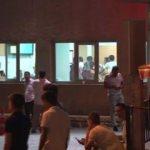 İstanbul'da şarbon kabusu!
