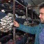 Genç çiftçi projesiyle hayatı değişti