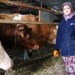 Arkadaşlarına heves etti hayallerine kavuştu!