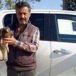 Tarlada bulunan yaralı şahin koruma altında