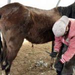 Zeyna, 9 ay sonra yaşama 4 nala sarıldı