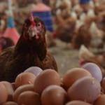 Bakanlık açıkladı: 90 gün vadeli satış yapılacak
