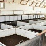 Emekli olunca sıkılıp bu işe girdi! Sayıları 3 milyonu buldu