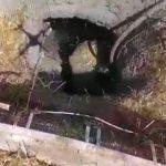 Kaçak kazı yapan şüphelilere suçüstü