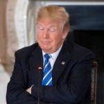 Trump Twitter kullanıcılarını engelleyemeyecek