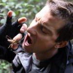 Bear Grylls dünyaya rezil oldu! Meğer herkesi kandırmış