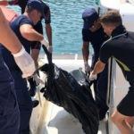 Kan donduran g&ouml;r&uuml;nt&uuml;! Balık&ccedil;ılar buldu...