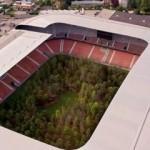 Futbol stadyumuna 300 ağaç dikti