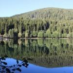 Artvin'in sakin şehri Şavşat'ta sonbahar bir başka güzel