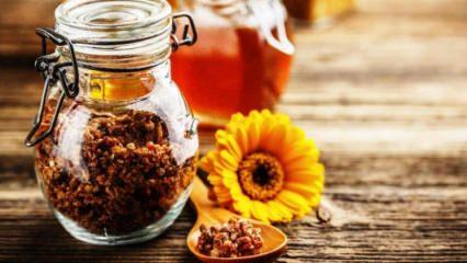Propolis ile bal ne yardımcı olur Herkese faydalı mı Propolis ile bal ne yardımcı olur Herkese faydalı mı