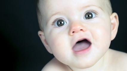 Aptamil markasının mama incelemeleri Aptamil markasının mama incelemeleri