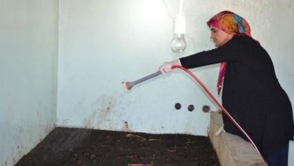 Evinde üretiyor! Taleplere yetişemiyor