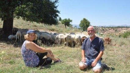 Hollanda'daki işlerini bırakıp çiftlik kurdular!