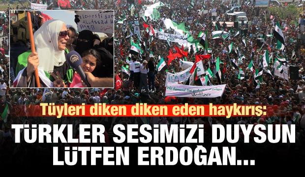 'TÃ¼rkler sesimizi duysun, lÃ¼tfen ErdoÄan!'