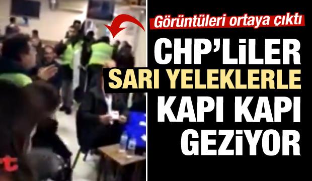 Türkiye'de ortaya çıktılar! Kapı kapı geziyorlar