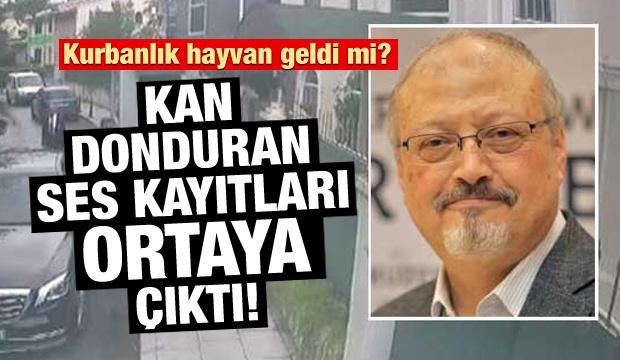 KaÅÄ±kÃ§Ä± cinayetinde kan donduran ses kaydÄ± ortaya Ã§Ä±ktÄ±